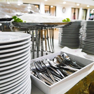 A professional rider on a horse